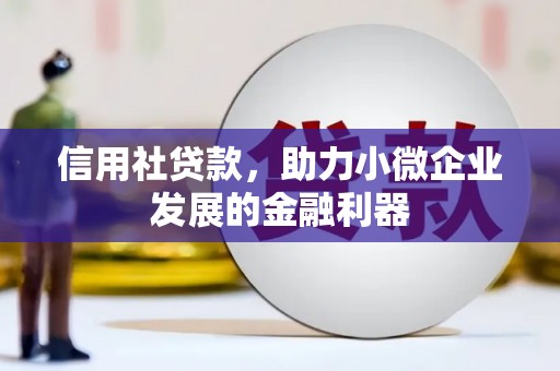 吴堡信用社贷款，助力小微企业发展的金融利器