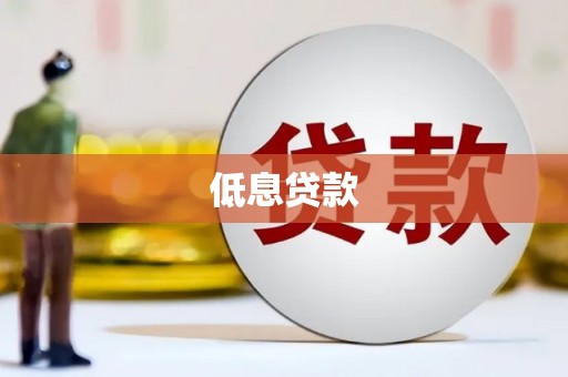 吴堡低息贷款