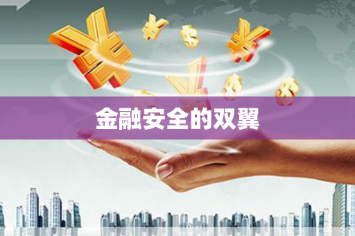 吴堡金融安全的双翼