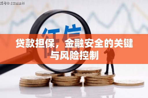 吴堡贷款担保，金融安全的关键与风险控制
