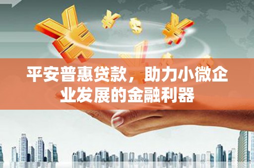 吴堡平安普惠贷款，助力小微企业发展的金融利器