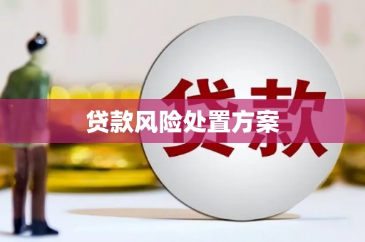 吴堡贷款风险处置方案