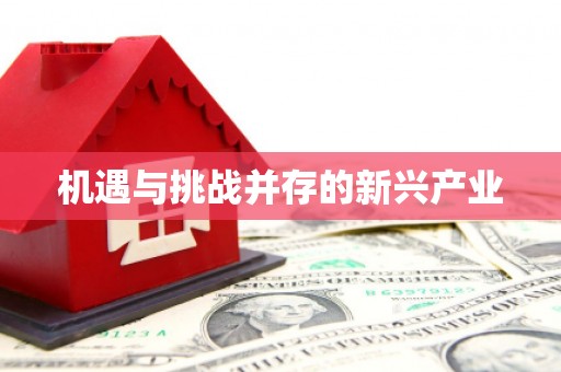 吴堡机遇与挑战并存的新兴产业