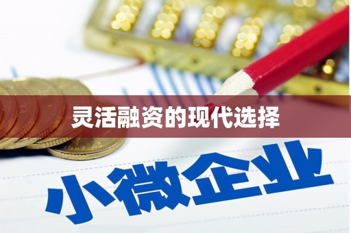 吴堡灵活融资的现代选择