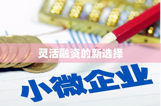 吴堡灵活融资的新选择