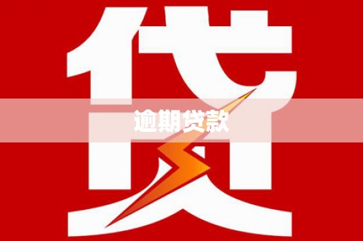 吴堡逾期贷款