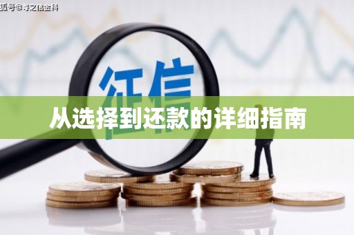 吴堡从选择到还款的详细指南