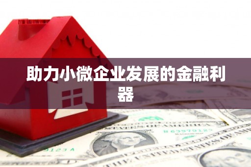 吴堡助力小微企业发展的金融利器