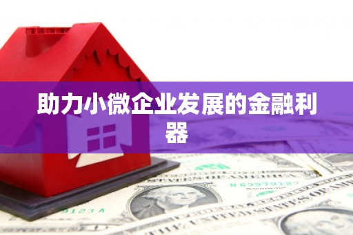 吴堡助力小微企业发展的金融利器