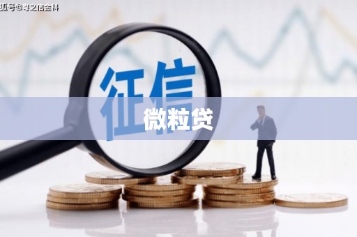 吴堡微粒贷