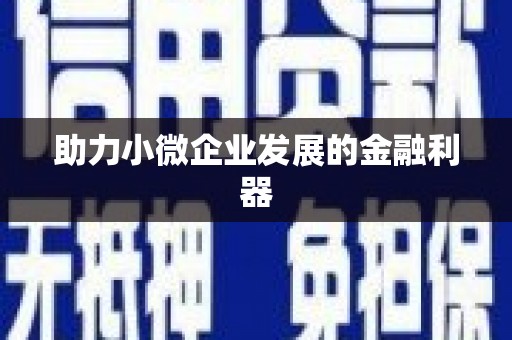 吴堡助力小微企业发展的金融利器