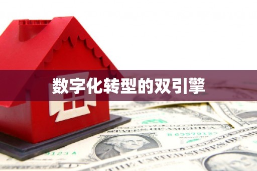 吴堡数字化转型的双引擎