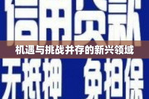 吴堡机遇与挑战并存的新兴领域