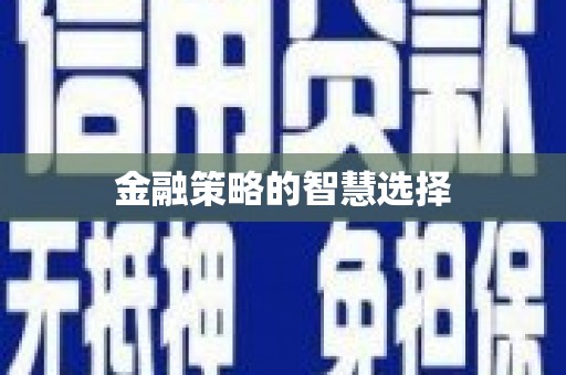 吴堡金融策略的智慧选择