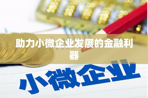 吴堡助力小微企业发展的金融利器