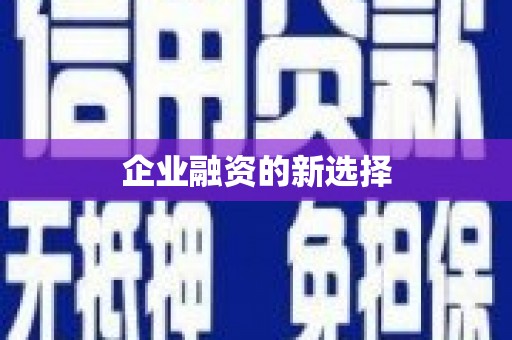 吴堡企业融资的新选择