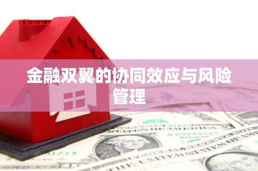 吴堡金融双翼的协同效应与风险管理