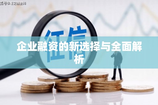 吴堡企业融资的新选择与全面解析