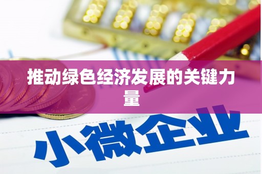 吴堡推动绿色经济发展的关键力量