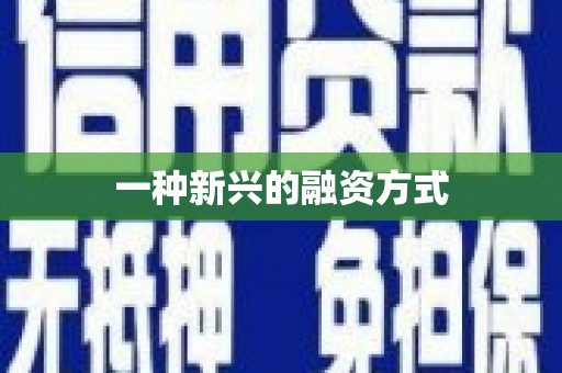吴堡一种新兴的融资方式