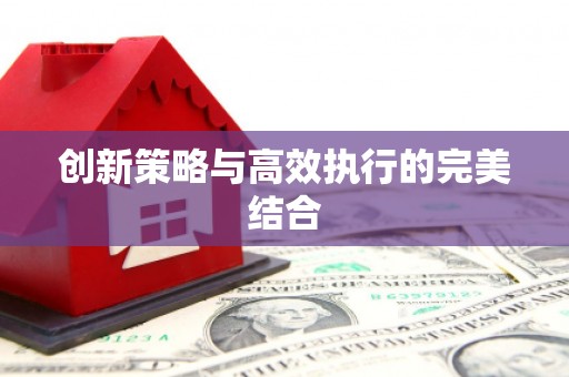 吴堡创新策略与高效执行的完美结合