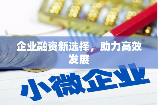 吴堡企业融资新选择，助力高效发展
