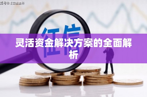 吴堡灵活资金解决方案的全面解析