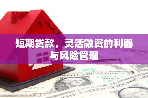 吴堡短期贷款，灵活融资的利器与风险管理