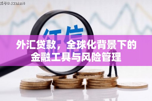 吴堡外汇贷款，全球化背景下的金融工具与风险管理
