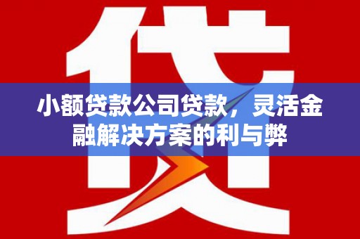 吴堡小额贷款公司贷款，灵活金融解决方案的利与弊