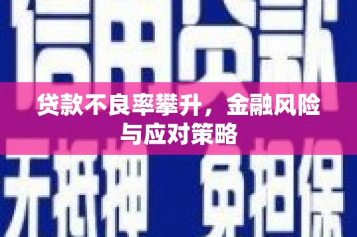 吴堡贷款不良率攀升，金融风险与应对策略